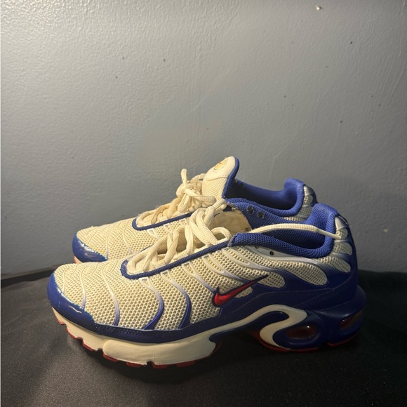 Nike Other - Nike air max plus Sneakers with Red Swoosh